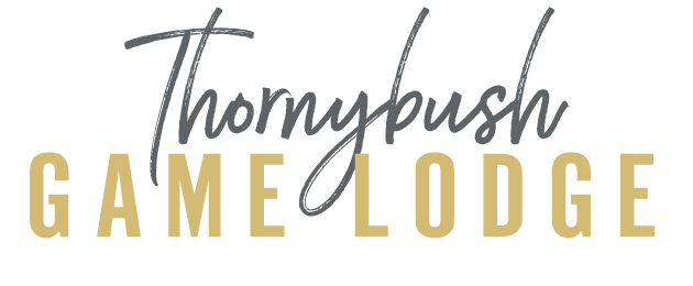 Thornybush Game Lodge