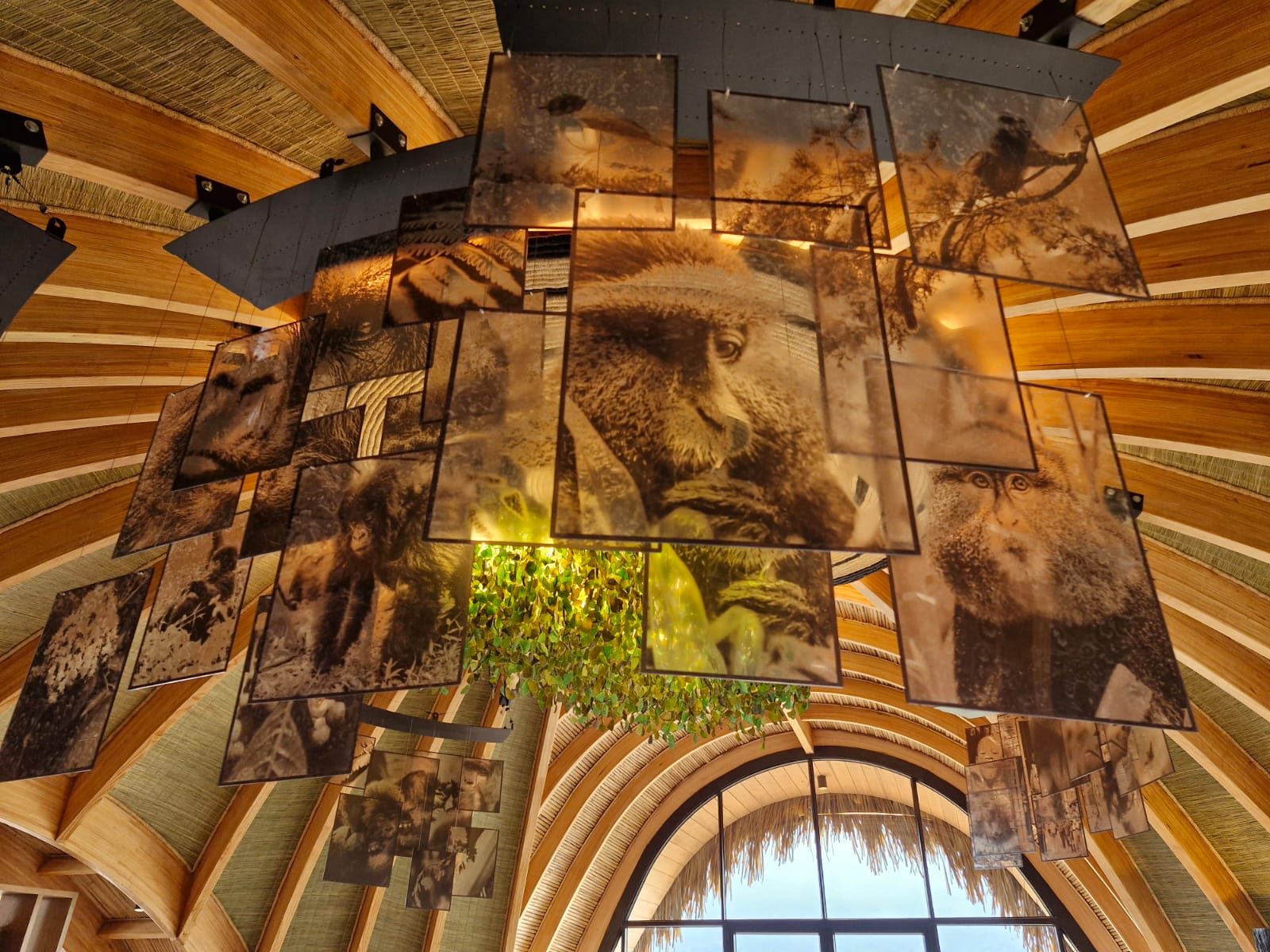 Bisate Lodge conservation installation