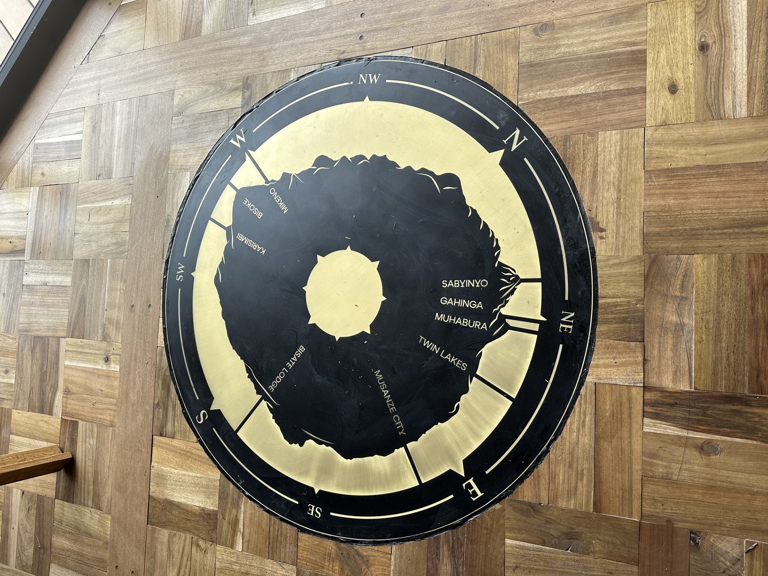 Detail of gorilla illustration