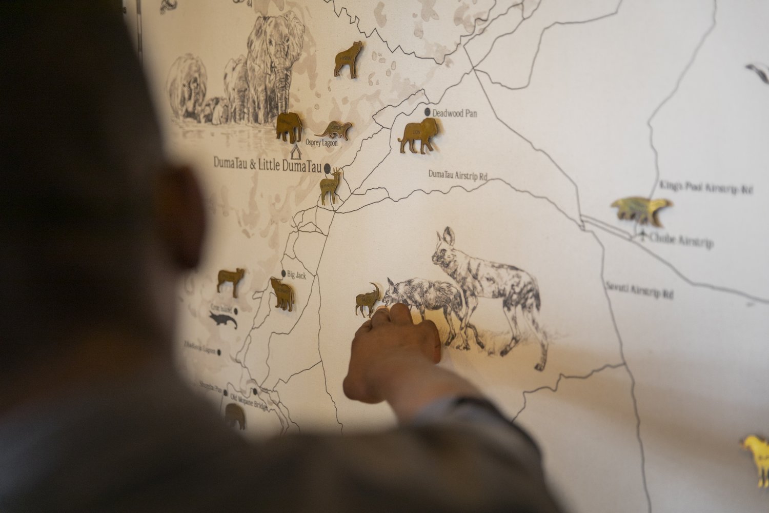 Wallpaper in luxury interior