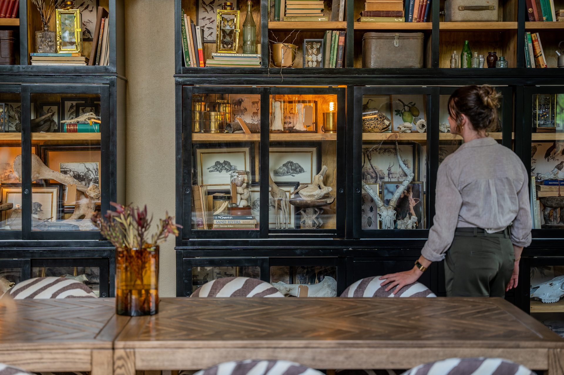 Thornybush library cabinet overview