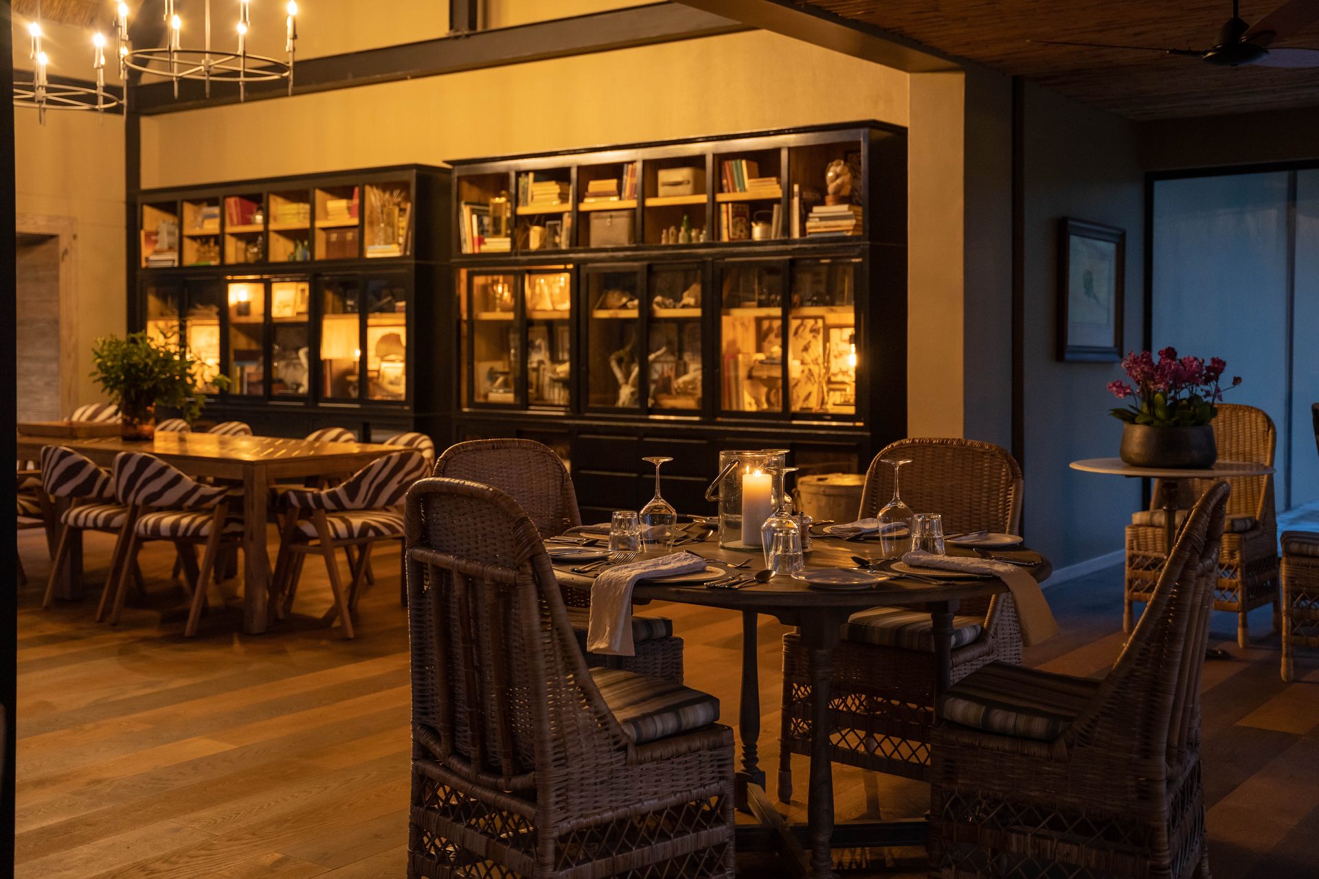 Cabinet detail showing specimens